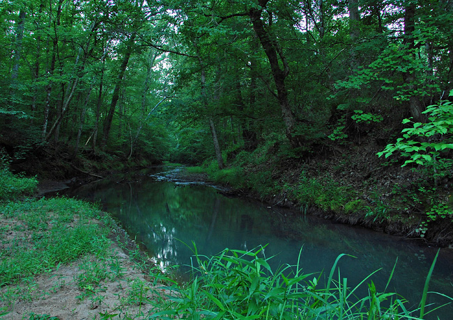 Cedar Creek - Georgia