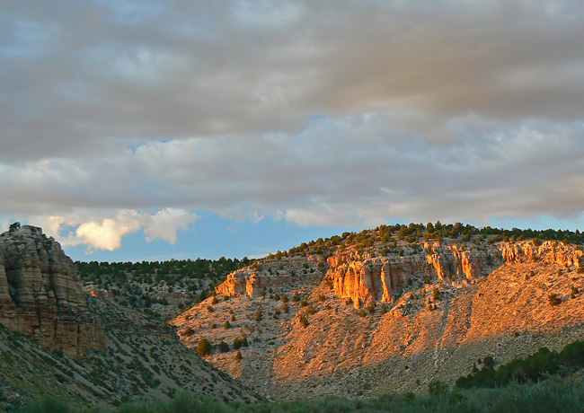 Snake Gulch - Kanab Creek Wilderness, Arizona