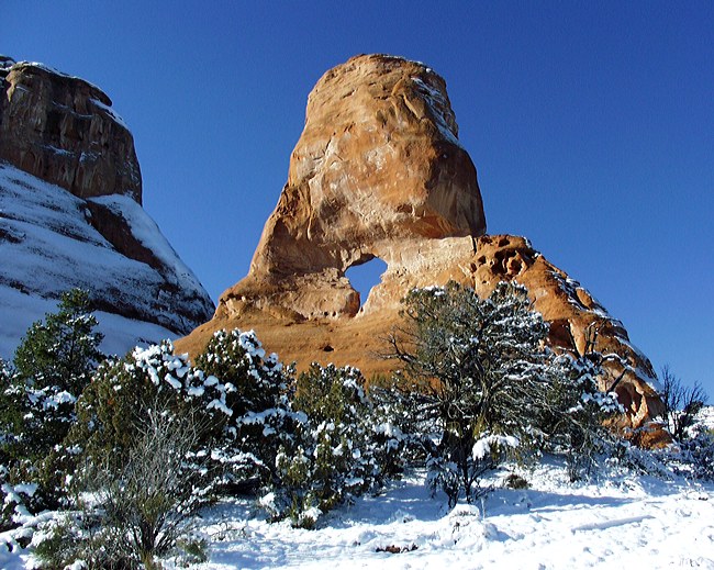 Rattlesnake Canyon - Fruita, Colorado