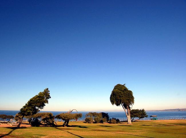 Ellen Browning Scripps Park