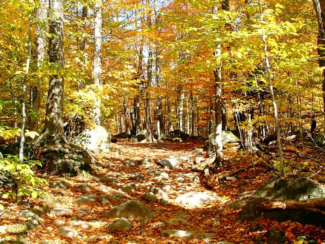Tuckerman Ravine Trail