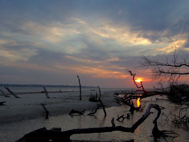 Driftwood Beach