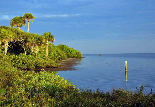 Mosquito Lagoon - Orange Island, Brevard County, Florida