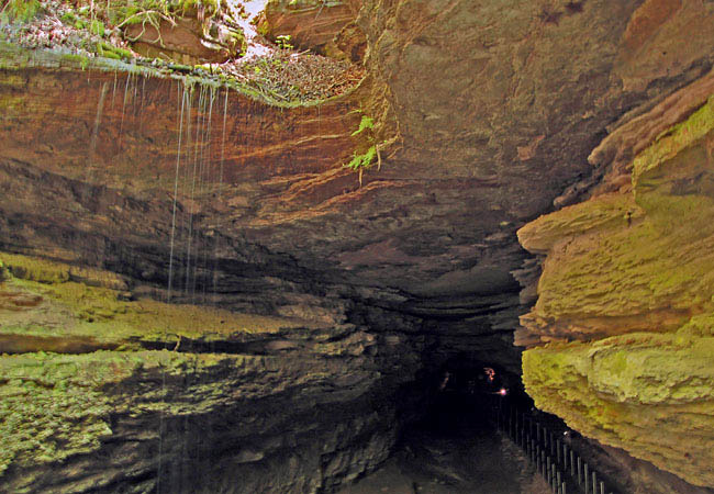Mammoth Cave - Mammoth Cave National Park, Kentucky