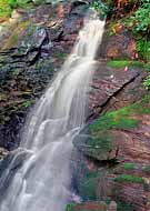 Juney Whank Falls - Juney Whank Falls Trail, Deep Creek Road, GSMNP, TN