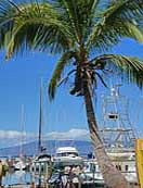 Lahaina Marina - Lahaina Harbor, Maui, Hawaii
