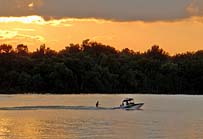 Lake Eufaula Skier