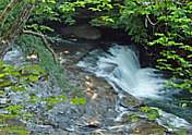 Little Duck River Step Falls