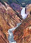 Lower Yellowstone Falls - Yellowstone National Park, Wyoming