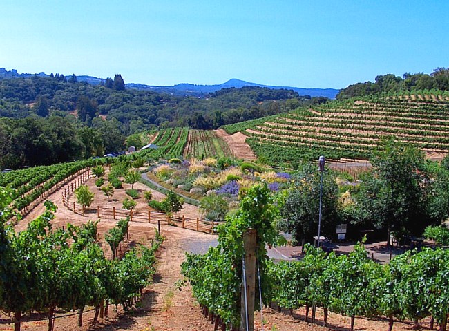 Benziger Family Winery - Sonoma Valley, California