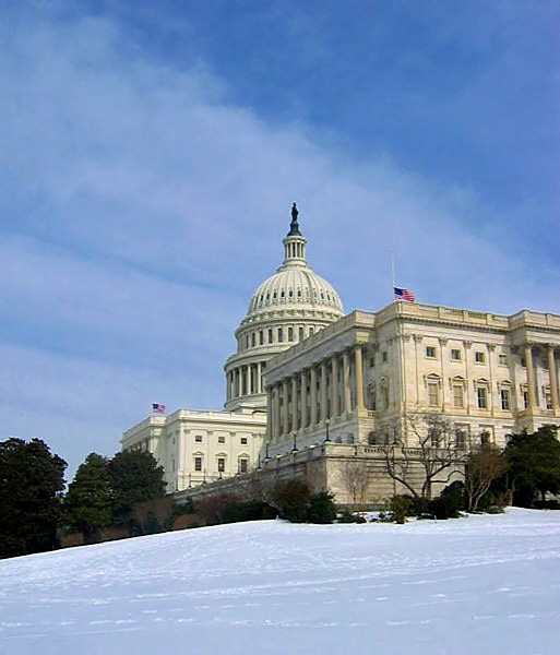Symbol of Democracy (U.S. Capitol Building) - Washington DC