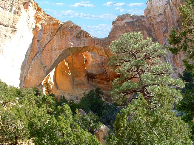 La Ventana Arch