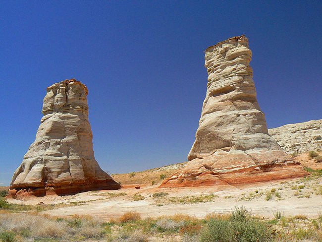 Elephant Feet