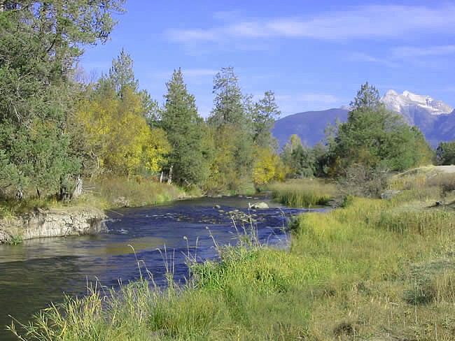 Mission Creek