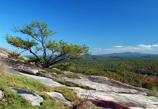 Bald Rock - Bald Rock Heritage Preserve, Cleveland, South Carolina