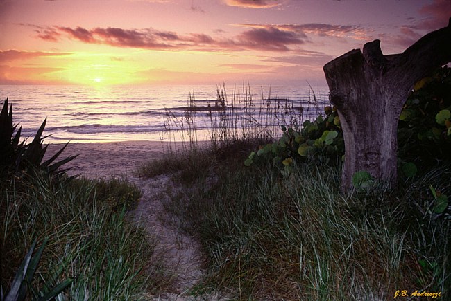 Indian Harbor Beach