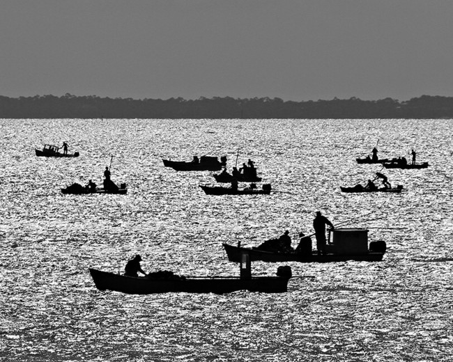 Apalachicola Bay - Big Bend, Florida