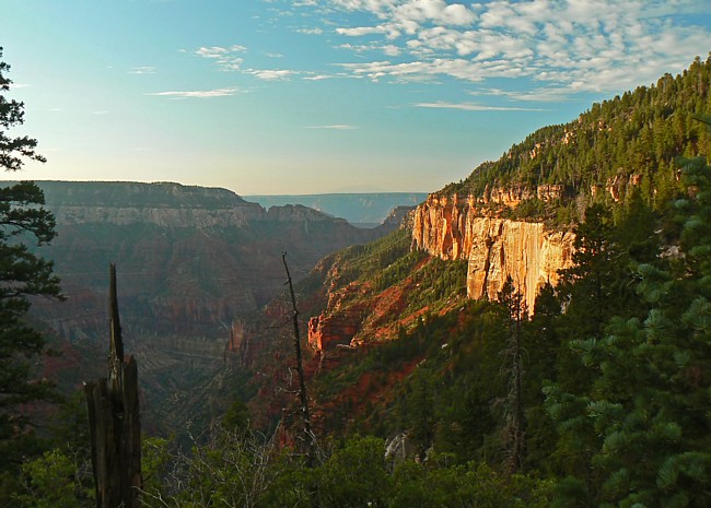 North Rim Parkway, view from the Widforss Trail - Arizona