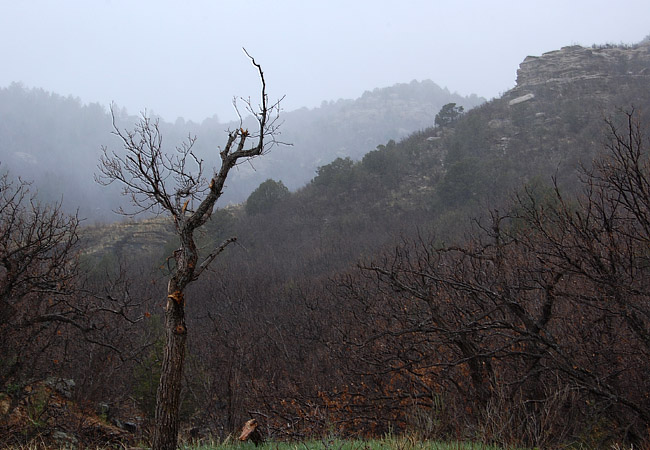 Sugarite Canyon - Sugarite Canyon State Park, New Mexico