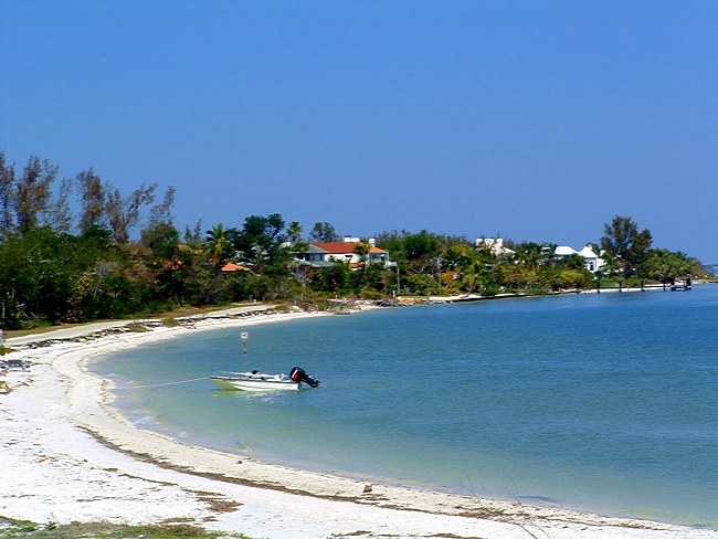 Sanibel Shoreline