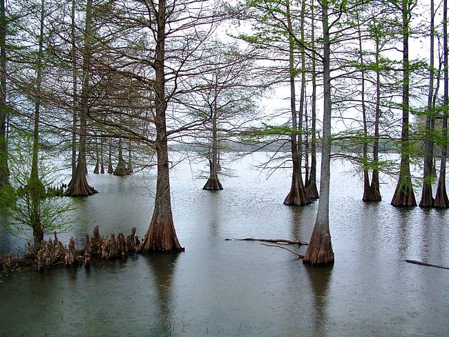 Lake Providence - Lake Providence, Louisiana