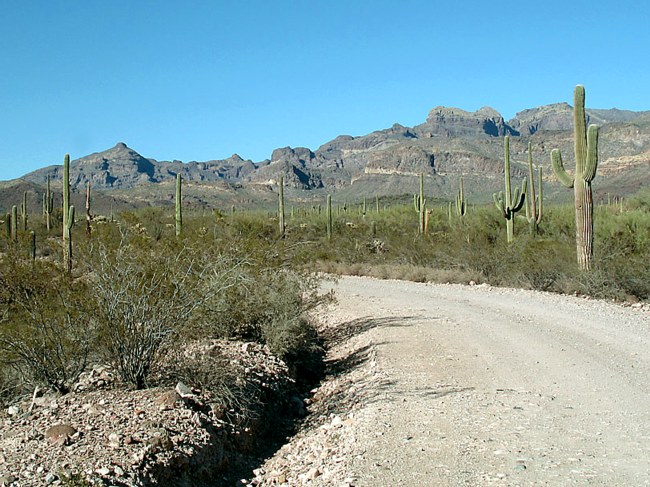 Ajo Mountain Loop - Ajo Plaza, Arizona