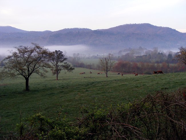 Mountain City Farm