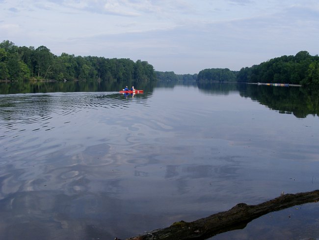 Lums Pond