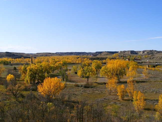 Medora