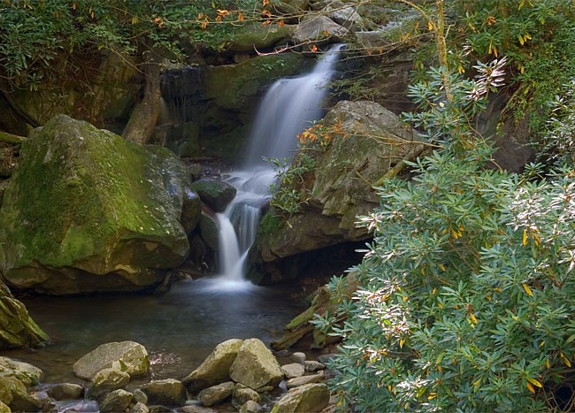 Lower Grotto Falls - Tennessee