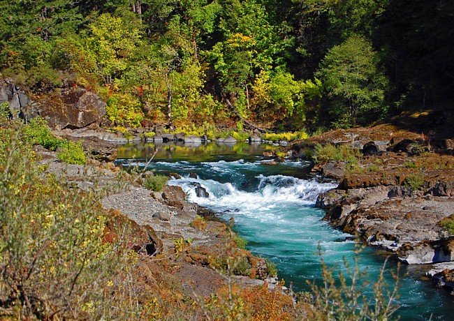 The Narrows - Douglas County, Idleyld Park, Oregon