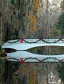 Magnolia Plantation - Foot Bridge