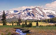 Tioga Road View of Mammoth Peak - Yosemite National Park, CA