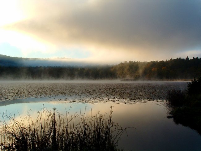 Dewey's Landing