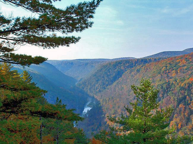 Grand Canyon of Pennsylvania 