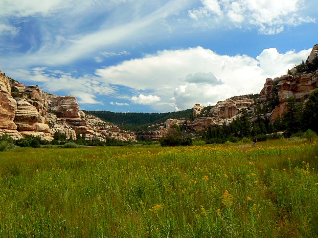 Dark Canyon Wilderness - San Juan County, Utah