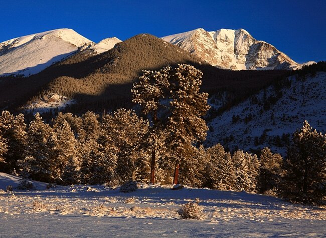 Horseshoe Park - Rocky Mountain National Park, Colorado