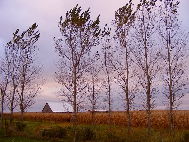 Grant Wood Scenic Byway
Eastern Iowa Farm