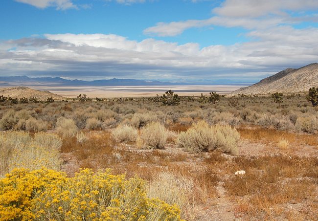 Dry Lake Valley - Alamo, Nevada