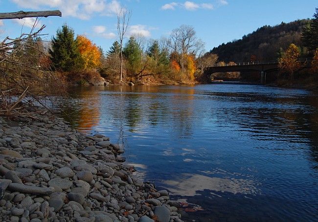 Junction Pool - Roscoe, New York