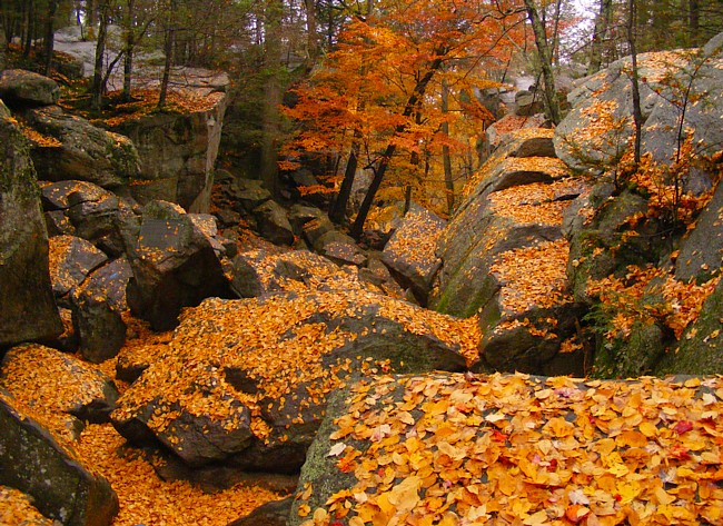 Purgatory Chasm - Purgatory Chasm State Park, Sutton, Massachusetts