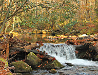 Smoky Mountains cascade