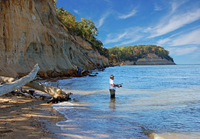 Calvert Cliffs State Park - Maryland