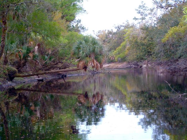 Econlockhatchee River