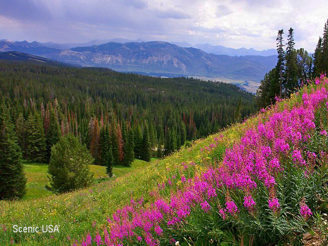 Beartooth Mountains - US Route 212, Montana