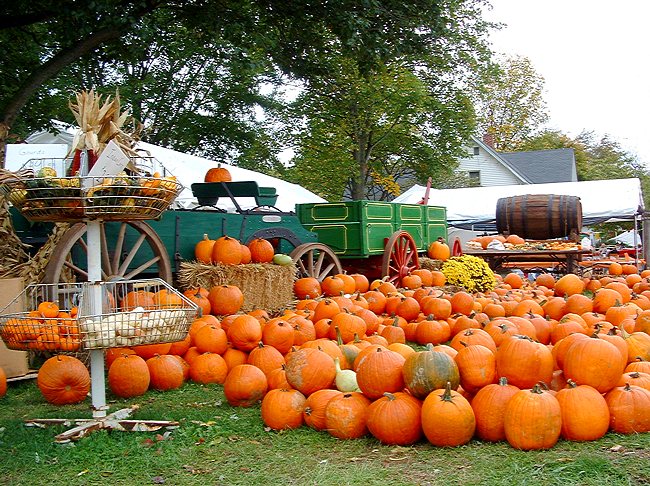 Parke County Fall Festival