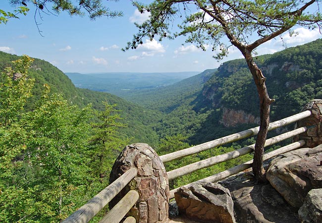 Cloudland Canyon Overlook - Cloudland Canyon State Park, Rising Fawn, Georgia