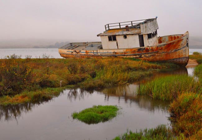 Point Reyes Ghost Ship - Point Reyes National Seashore, California