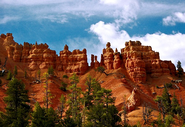 Red Canyon - Panguitch, Utah