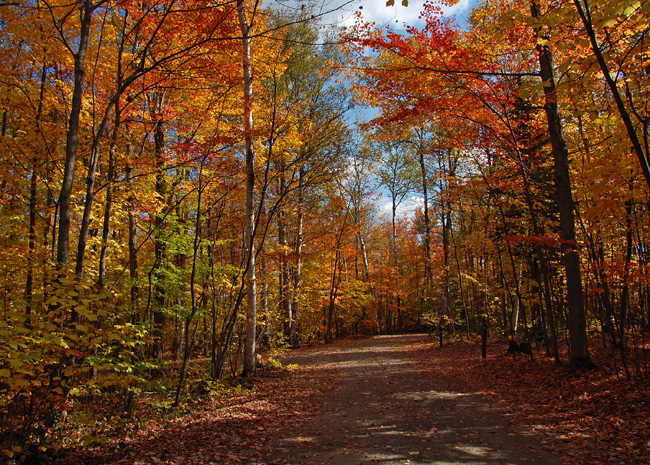 Brighton State Park - Vermont